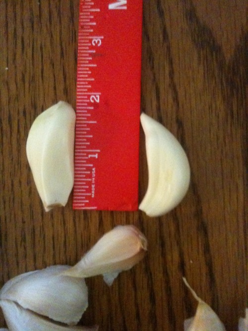 fresh garlic bulbs